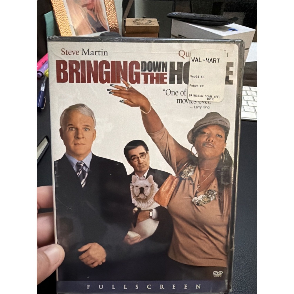 Bringing Down the House (DVD, 2003)